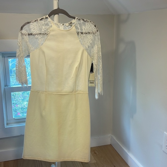 NWT -BB Dakota | Princeton Ivory Dress Lace, Size M - Picture 4 of 6